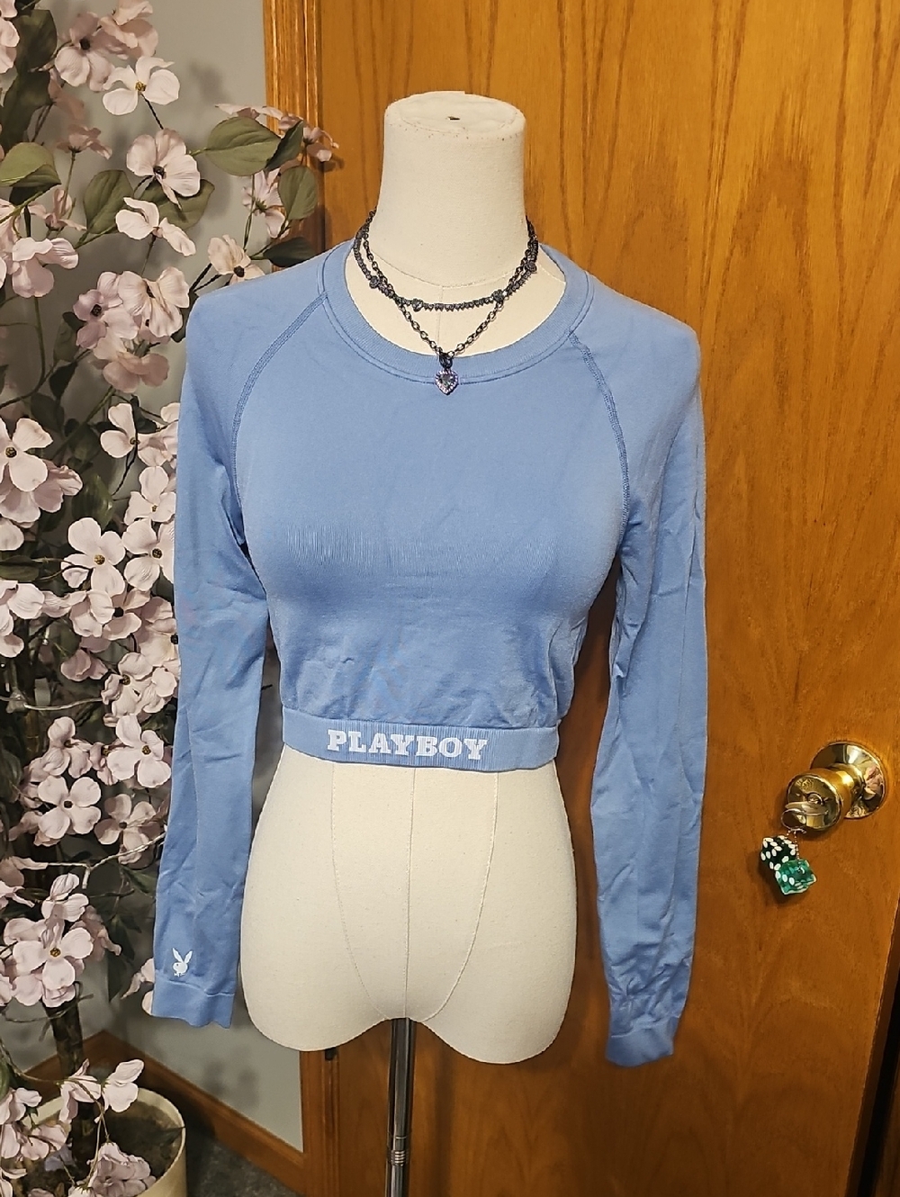Playboy X Pacsun Blue Crop Top